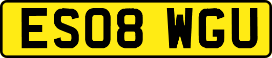 ES08WGU