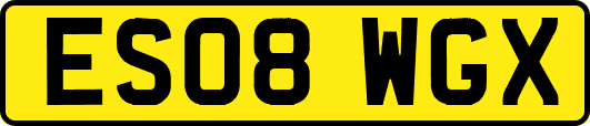ES08WGX