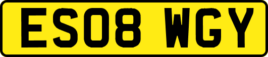 ES08WGY