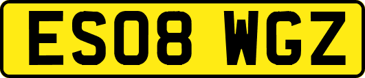 ES08WGZ