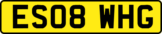 ES08WHG