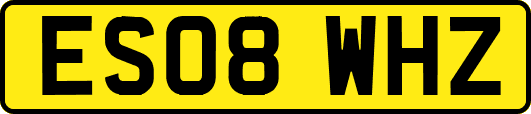 ES08WHZ