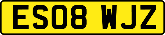ES08WJZ
