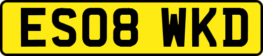 ES08WKD