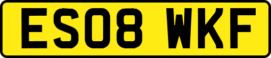 ES08WKF