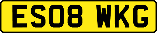 ES08WKG