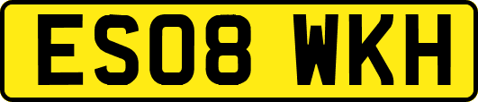 ES08WKH