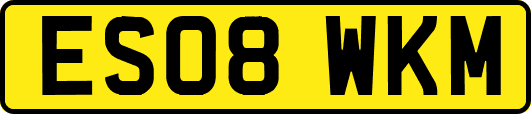 ES08WKM