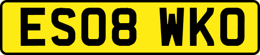 ES08WKO