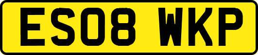 ES08WKP