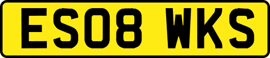 ES08WKS