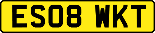 ES08WKT
