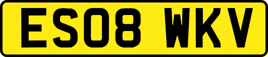 ES08WKV
