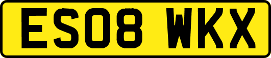 ES08WKX