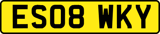 ES08WKY