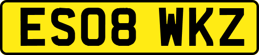ES08WKZ