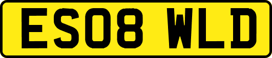 ES08WLD