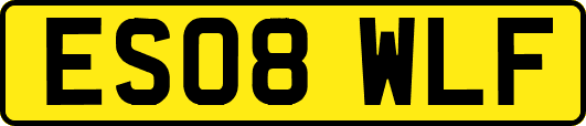 ES08WLF