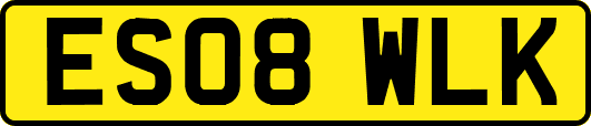 ES08WLK