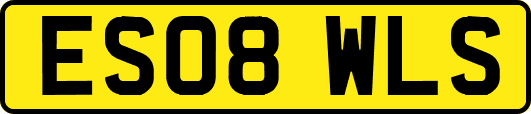 ES08WLS