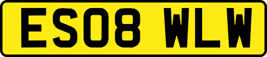 ES08WLW