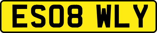 ES08WLY