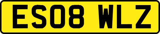 ES08WLZ