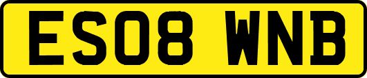 ES08WNB