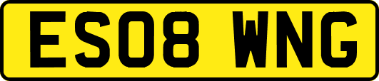 ES08WNG
