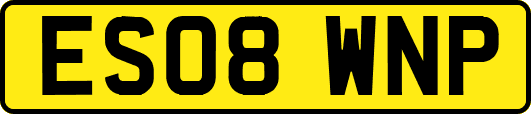 ES08WNP