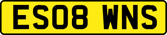 ES08WNS