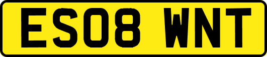 ES08WNT