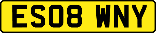 ES08WNY