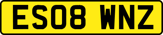 ES08WNZ