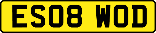 ES08WOD