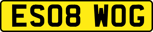 ES08WOG