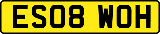 ES08WOH