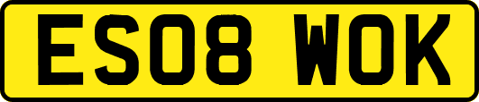 ES08WOK