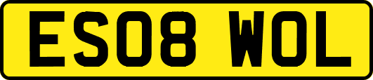 ES08WOL