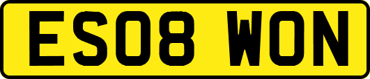 ES08WON