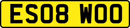 ES08WOO