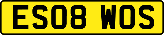ES08WOS
