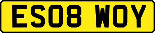ES08WOY