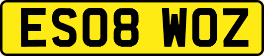 ES08WOZ