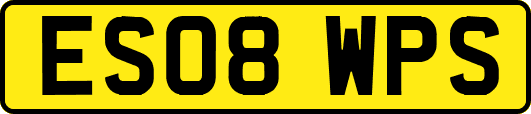 ES08WPS