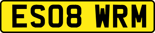 ES08WRM