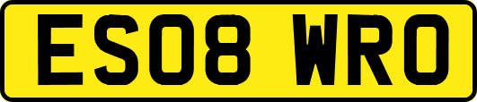 ES08WRO