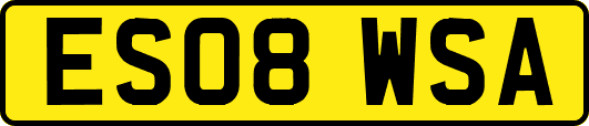 ES08WSA