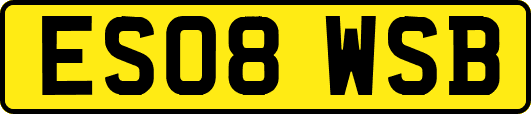 ES08WSB
