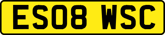 ES08WSC